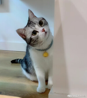 来一波芙的壁纸，来源：我是王泡芙微博超话