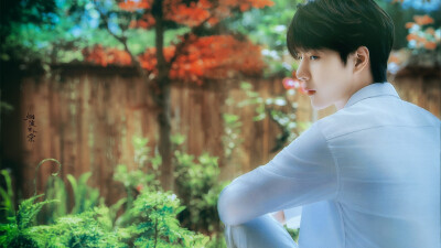 烟波里的棠大大的图（电脑壁纸）