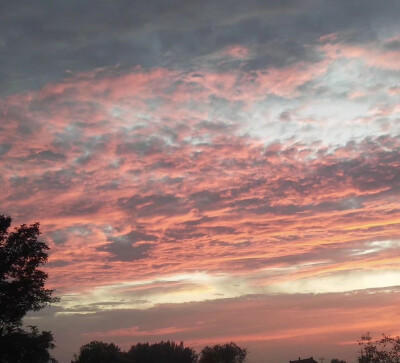 昨天的夕阳很美，只是夕阳无限好，只是近黄昏