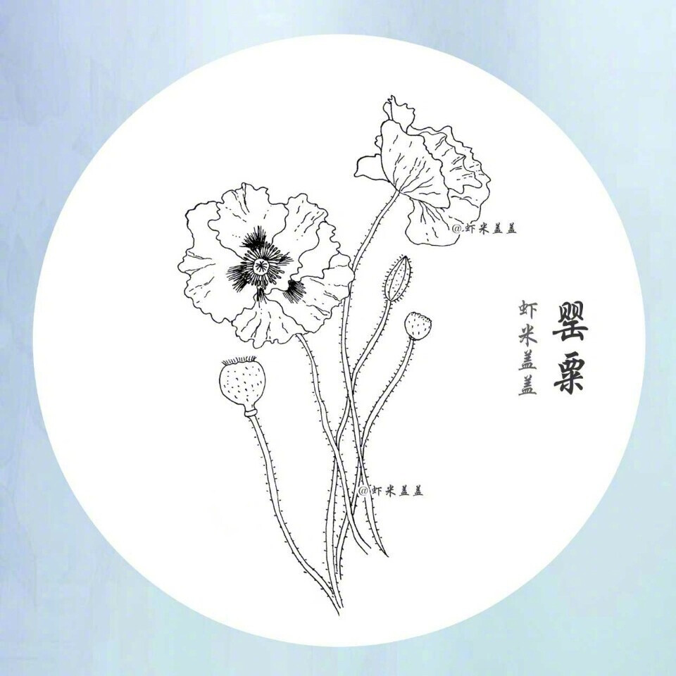 简笔画花