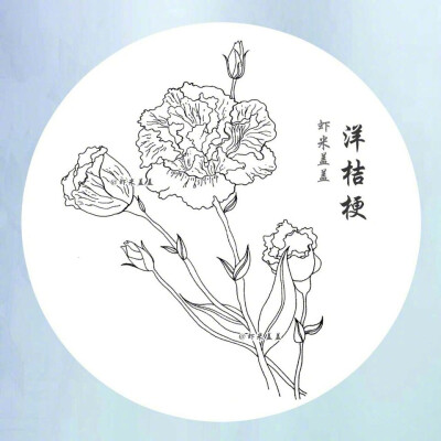 简笔画花