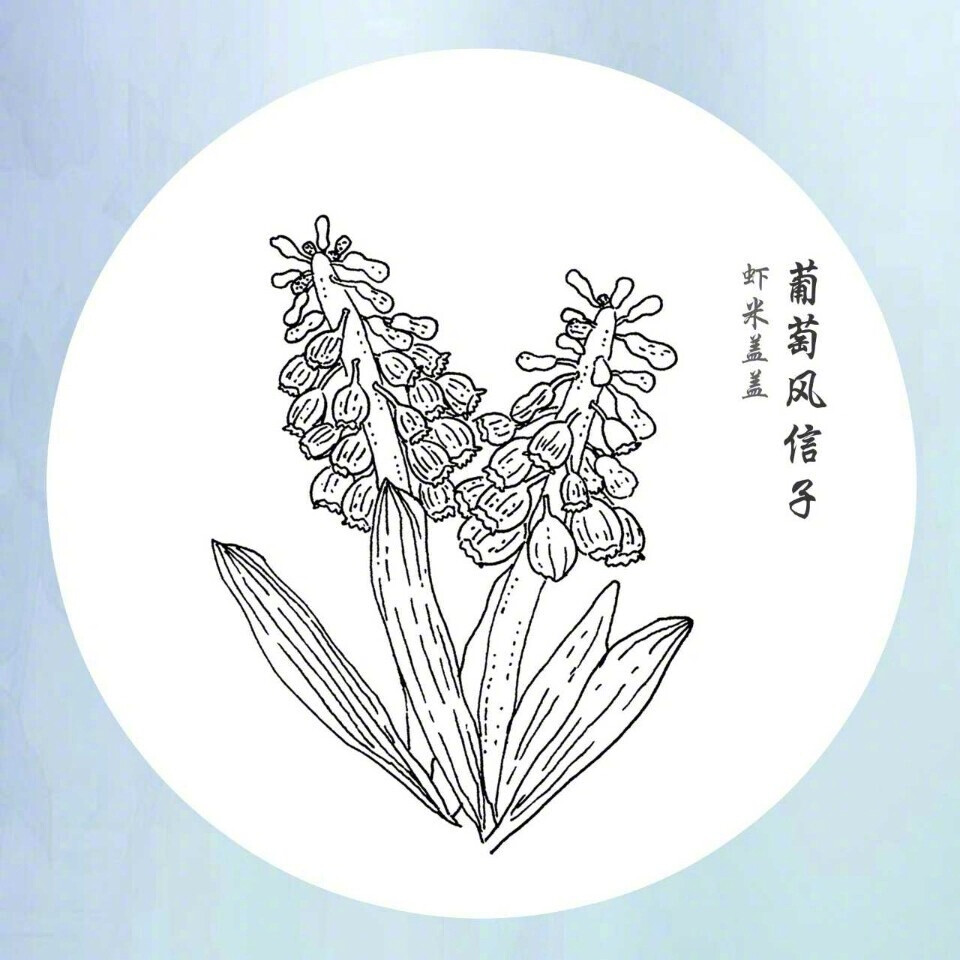 简笔画花