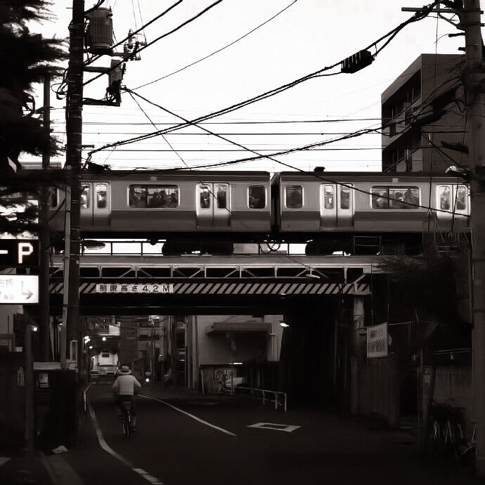 “这样子看着我的话。”
“会忍不住的”
原小贤礼丝