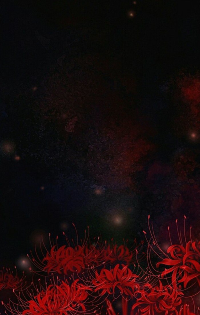 堆糖,美图壁纸兴趣社区