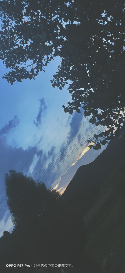 可能是因为她的爱很重，所以才显得温柔