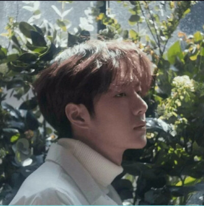 博君一肖情侣头像