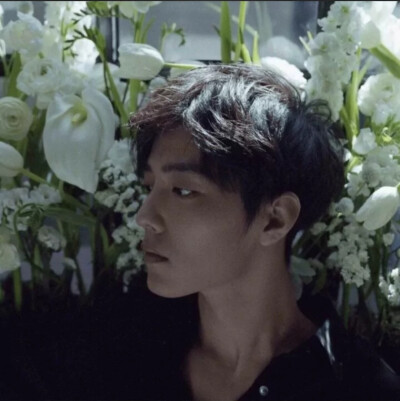 博君一肖情侣头像