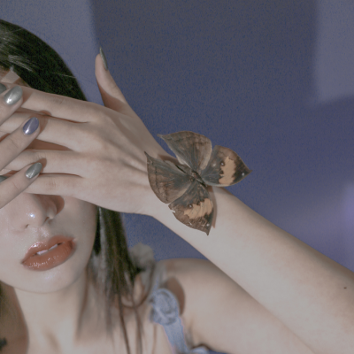 《蝴型物语》cr：人类观察机
背景图°｜女头°｜仙女头像