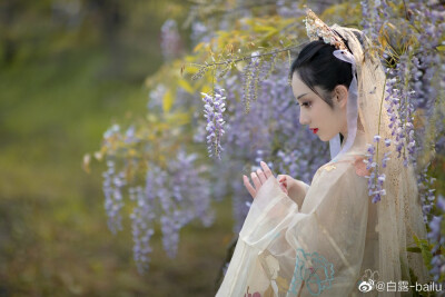 #杭州约拍##杭州约拍##上海约拍#
“陌上花开，可缓缓归矣。” （汉服-紫藤花）
拍摄/后期: @白露-bailu
出镜: @木枭-
妆发: @半月绾
服装: 大袖衫@簪花阁汉服工作室 ，齐胸襦裙@美人夜来工作室
小伙伴: @…