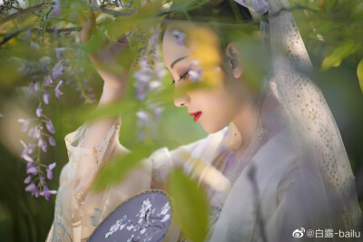 #杭州约拍##杭州约拍##上海约拍#
“陌上花开，可缓缓归矣。” （汉服-紫藤花）
拍摄/后期: @白露-bailu
出镜: @木枭-
妆发: @半月绾
服装: 大袖衫@簪花阁汉服工作室 ，齐胸襦裙@美人夜来工作室
小伙伴: @…