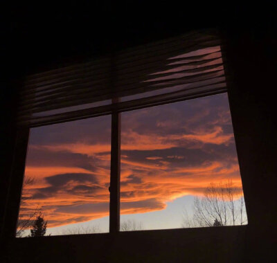 逐渐变强...活下去