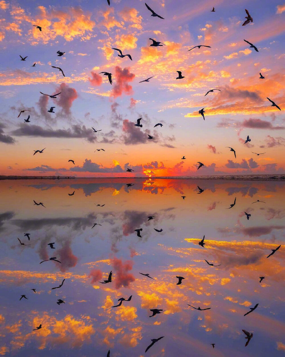 晓看天色暮看云