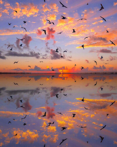 晓看天色暮看云