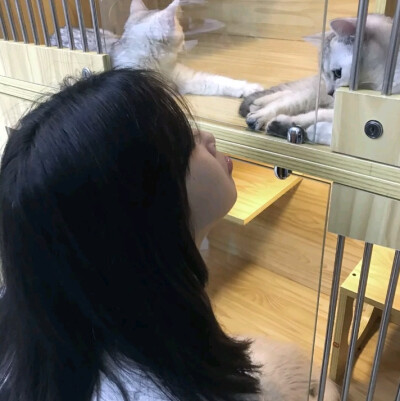 二转注明dt许恩