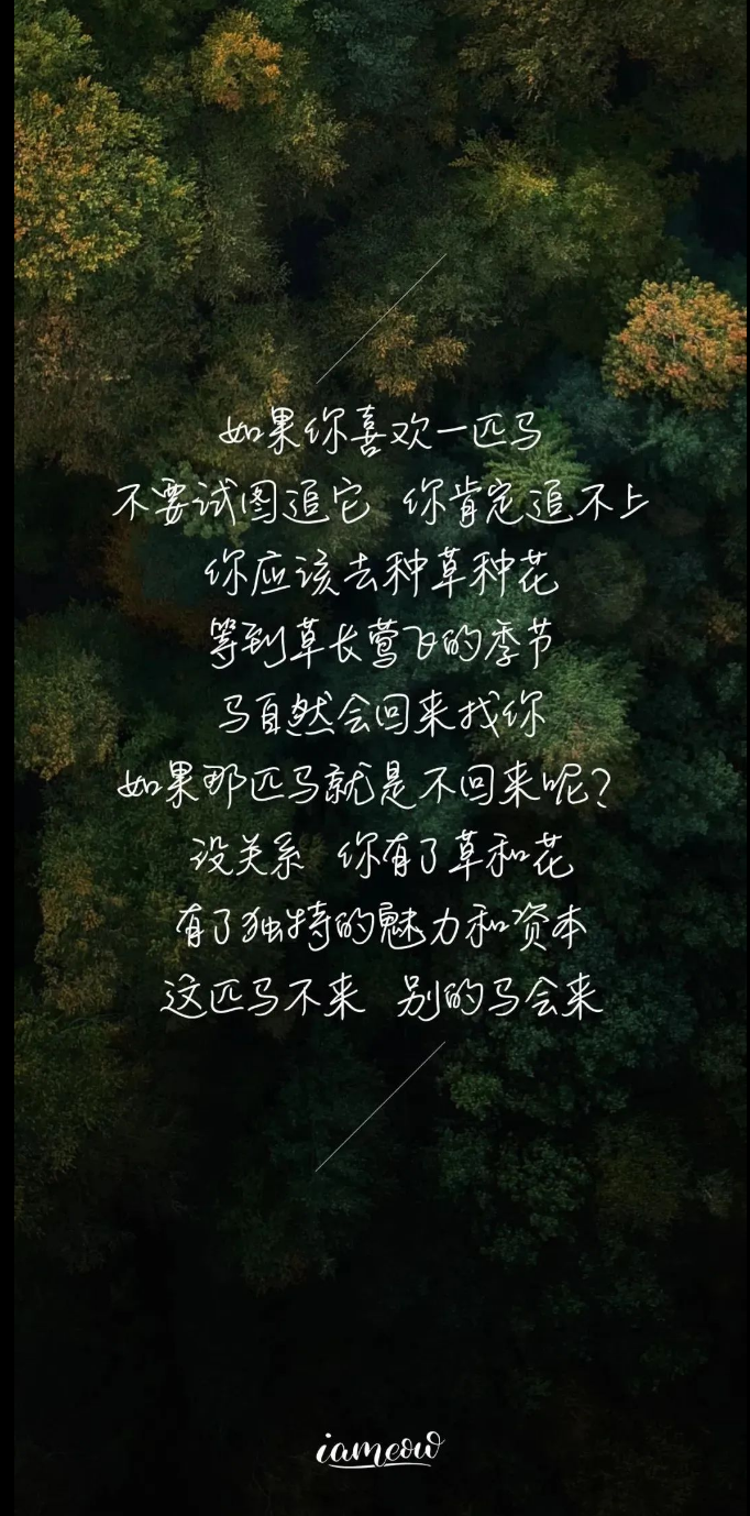 Self-discipline（自律）
1.I'm not sure. You and I are both dark horses.（乾坤未定，你我皆是黑马）
2In the future, try to be a person who doesn't let yourself down now.（在未来努力做一个不让现在的自己失望的人）
3.Only when you go all out can you say you are trying hard.（全力以赴才有资格说努力）
LOVE=Listen（倾听） Obligate（付出） Valued（尊重） Excuse（宽松）