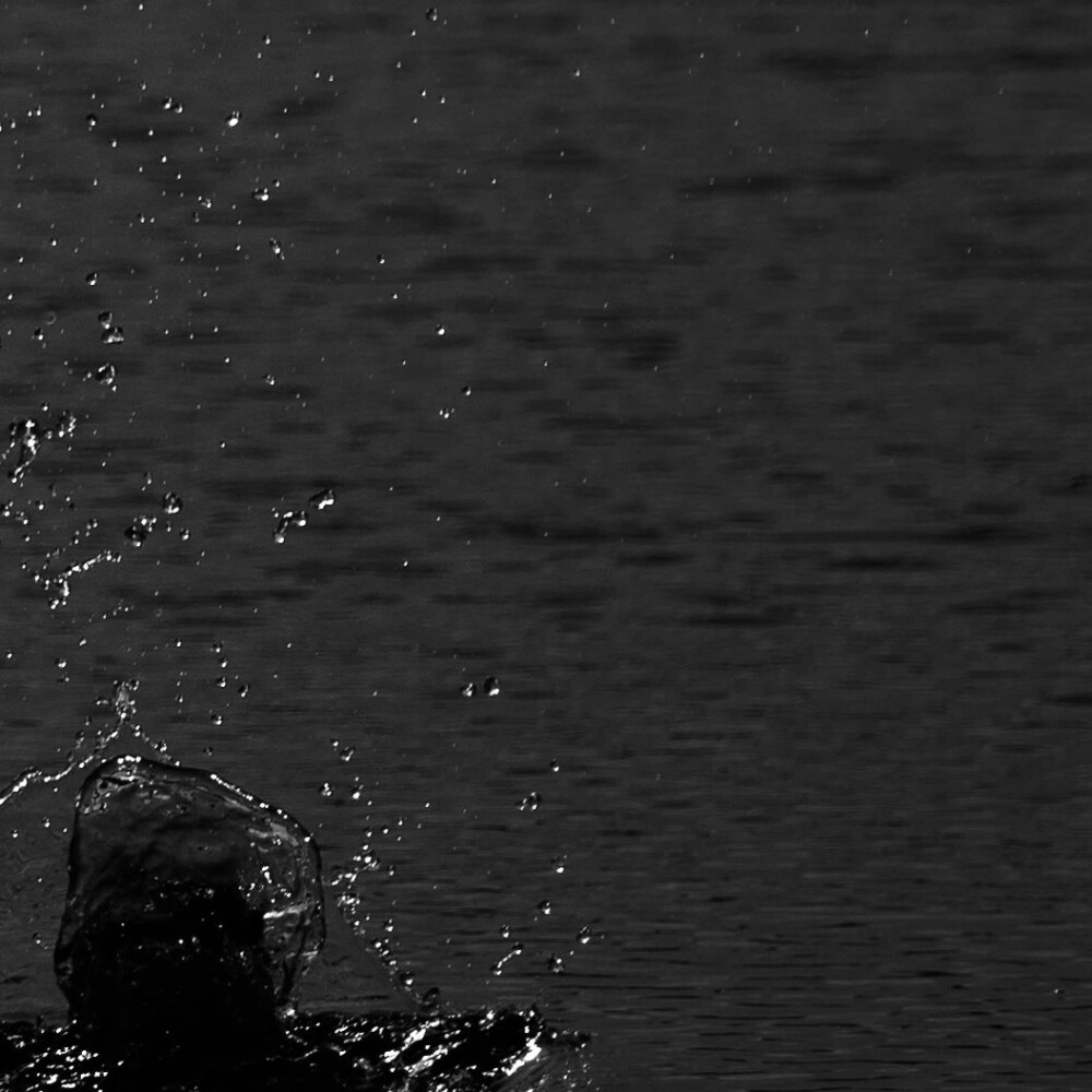 你要接受这世界突如其来的走散