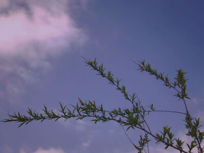 平板壁纸，景色壁纸。
最好的天空，献给最美的你。