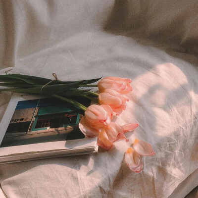 ♡moon下班啦♡朋友圈背景图