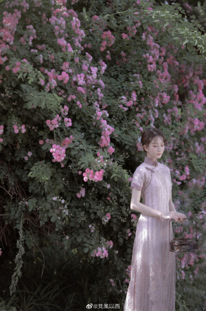 『水晶帘动微风起，满架蔷薇一院香。』

摄 | 凭風以西
模 | @竹大宝Chiki 
旗袍 | @六出花旗袍Susie_Lo 

#北京约拍##南京约拍#  ​​​