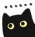 表情包
黑猫