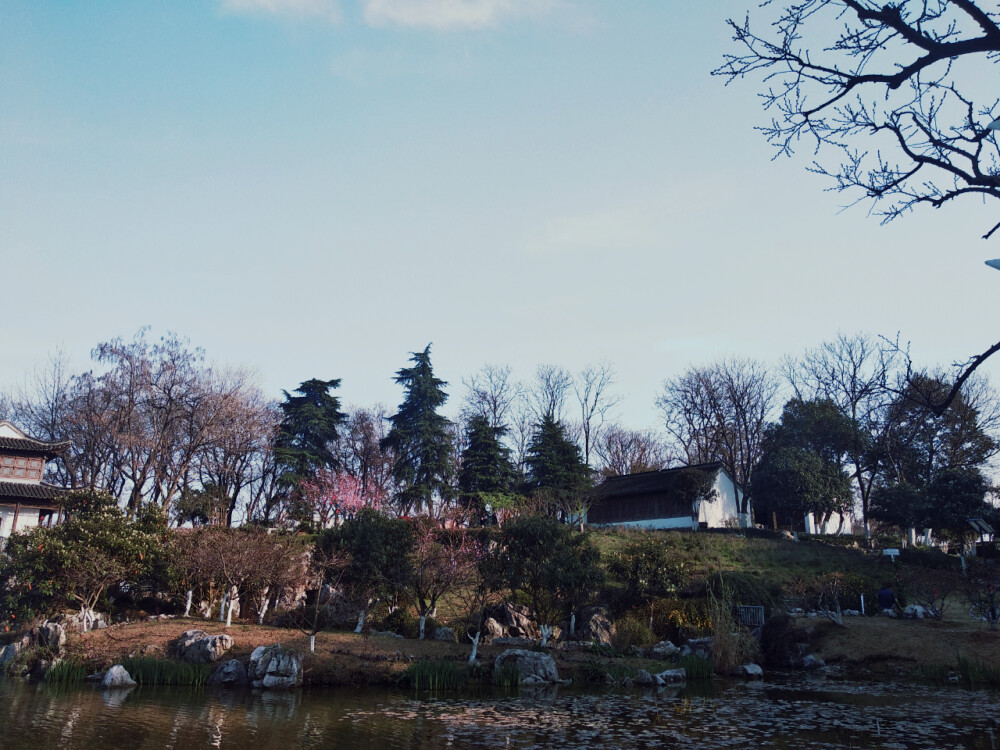 南京 愚园 风景 美景 摄影 
