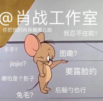 肖战表情包