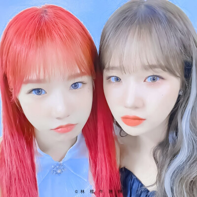 ·曺柔理×磪有情