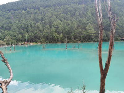 镜潭湖 QQ名片背景 背景