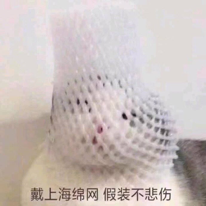 猫猫表情包