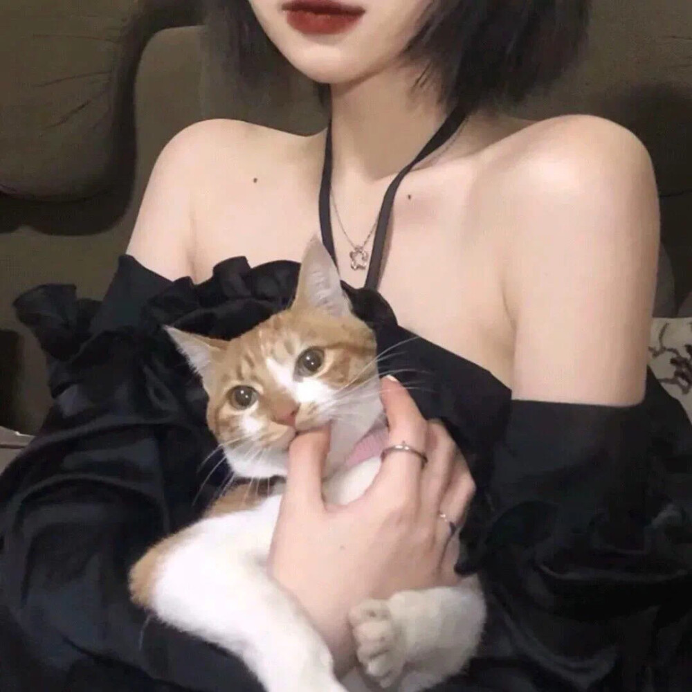 猫系女头