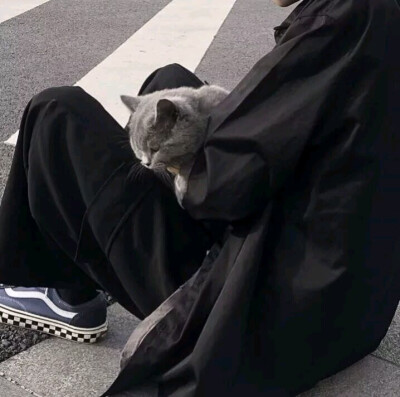 猫系男头