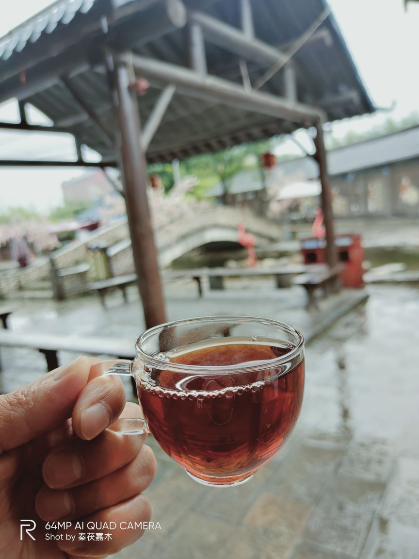 泾阳茯茶，泾阳茯茶小镇