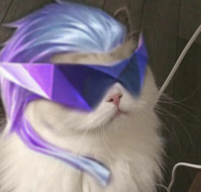 补一下王者的团头