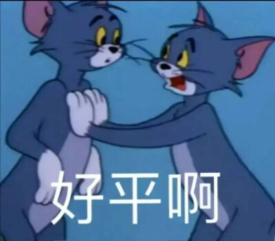 表情包（lei了
