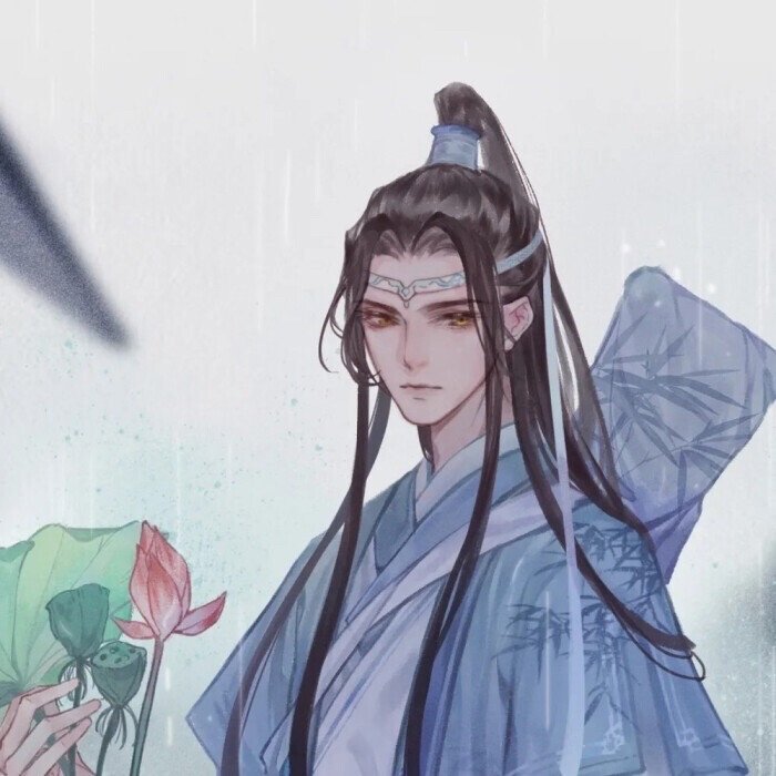 蓝忘机/魔道祖师