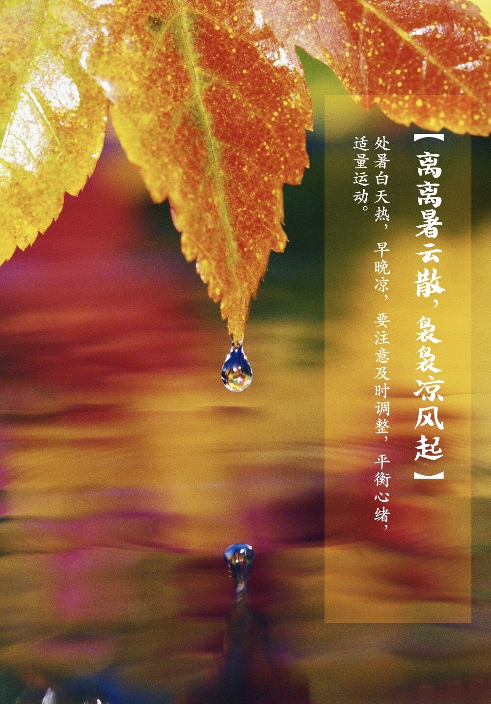 【中国节气：处暑】暑气渐止，天地始肃。疾风急雨，秋意初微。柚子润肺，莲子养心。露蝉声咽，闭窗藏扇，久眠难得。
《月令七十二候集解》：七月中，处，止也，暑气至此而止矣。