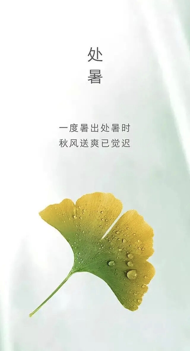 【中国节气：处暑】暑气渐止，天地始肃。疾风急雨，秋意初微。柚子润肺，莲子养心。露蝉声咽，闭窗藏扇，久眠难得。
《月令七十二候集解》：七月中，处，止也，暑气至此而止矣。