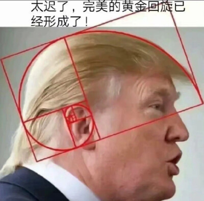 完了，大肿桶他