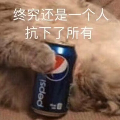 可爱表情包