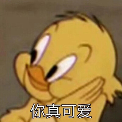 可爱表情包