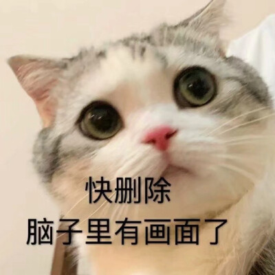 可爱表情包