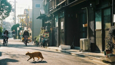 橙光奶茶店 秋千 餐厅 街道素材「苏稚童」