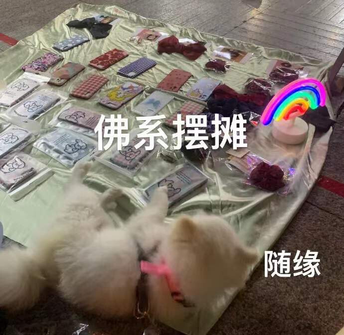 猫猫表情包 佛系摆摊 随缘