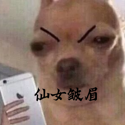 沙雕小表情(如侵删)