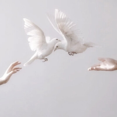 
·温暖明亮在他手中融化。
原偏贤