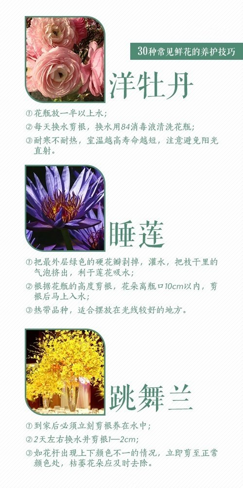 30种常见鲜花的养护方法