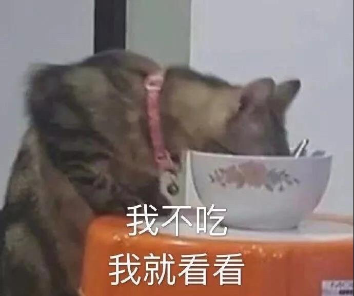 猫猫表情包 我不吃我就看看 真香，哎！