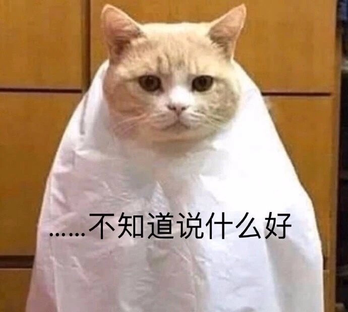 猫猫表情包 不知道说什么好