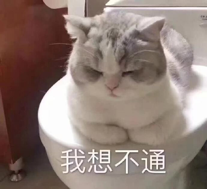 猫猫表情包 趴在马桶盖上想不通