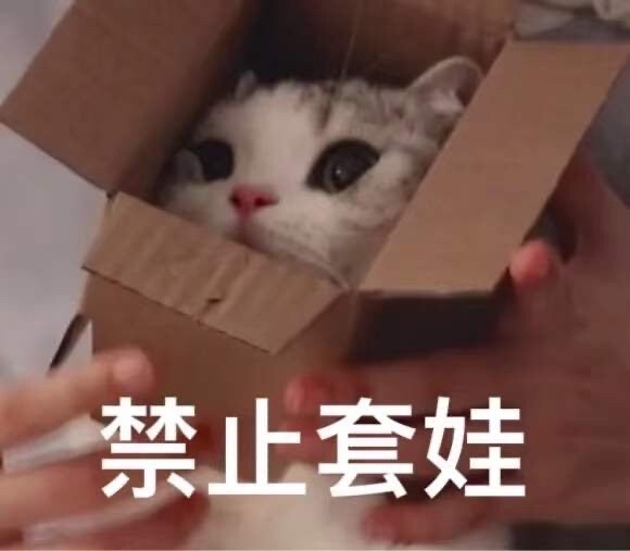 猫猫表情包 泡芙 禁止套娃